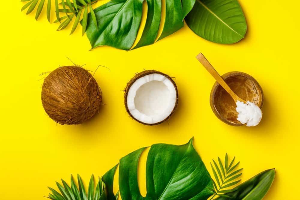 Coconut oil, tropical leaves and fresh coconuts, flat lay, healthy life concept - Diet Smoothies for Weight Loss
