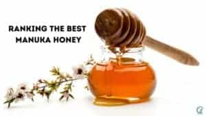 Best Manuka Honey