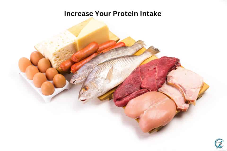 Increase Your Protein Intake