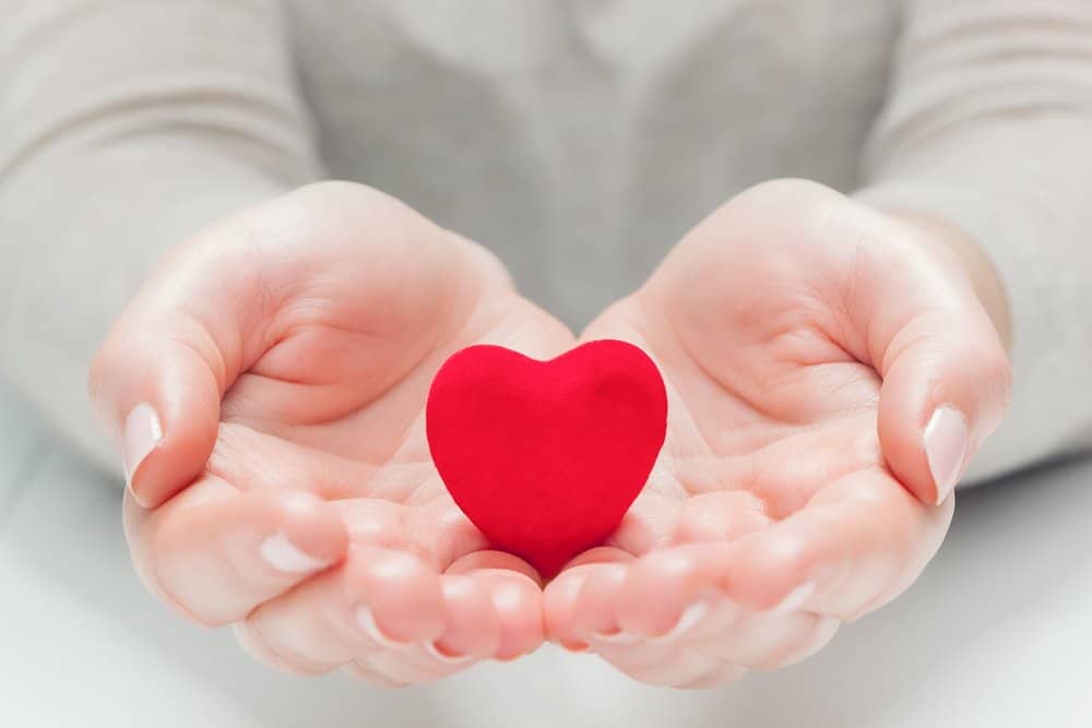 Small red heart in woman's hands in a gesture of giving, protecting. Health, life, love symbol - HIIT for Weight Loss Training
