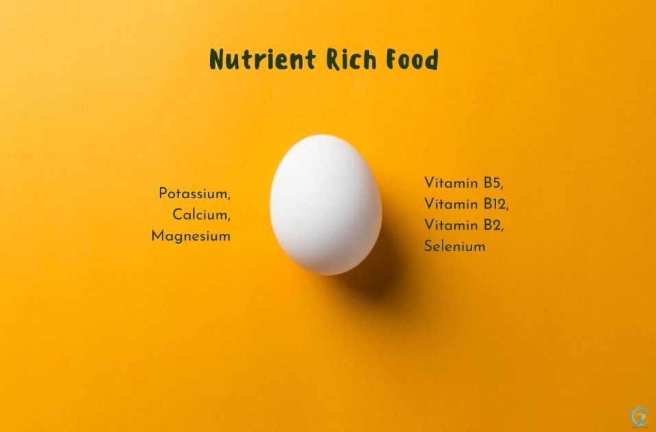 Nutrition facts of broiler eggs