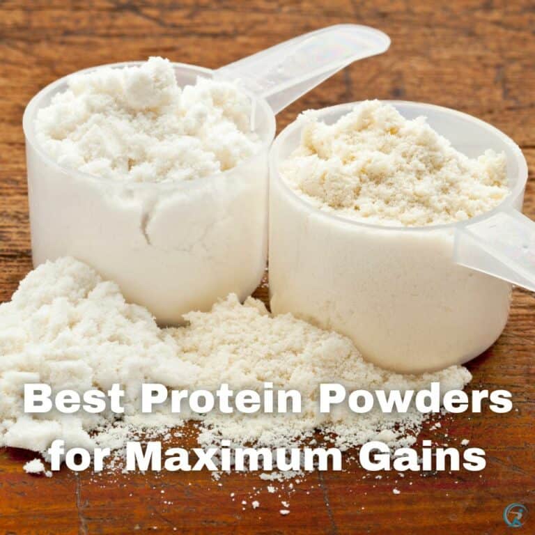 Best Protein Powders For Muscle Gain Whey More
