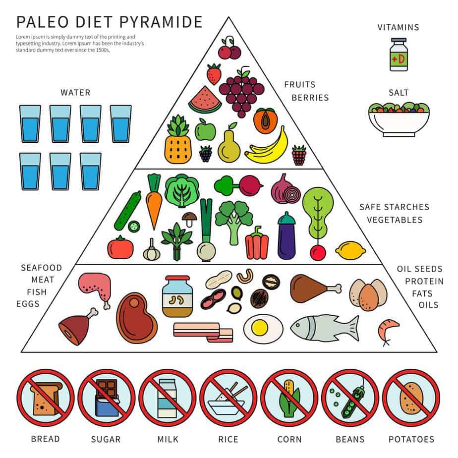 Thin line flat design of the pyramid of Paleo diet explained