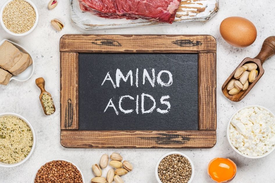 Essential amino acid