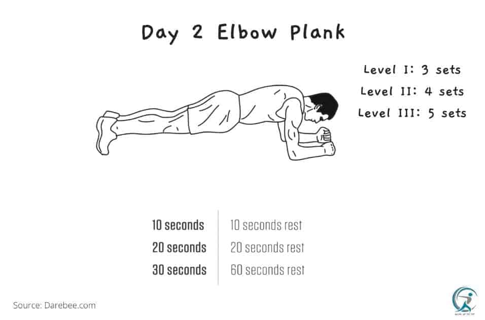 Day 2 elbow plank of the 7day HIIT workout for beginners