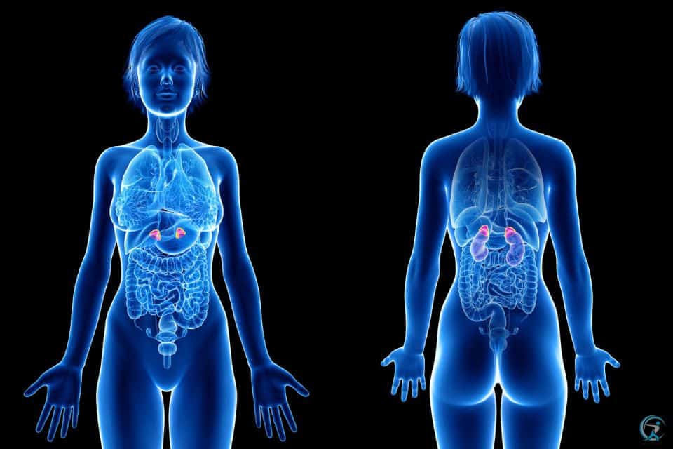 Treatment of Excess Cortisol Levels in the Bloodstream