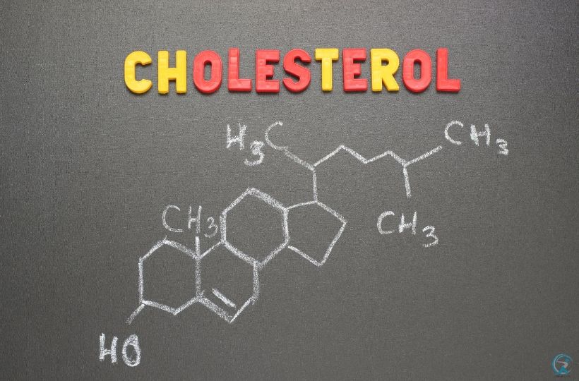 What is cholesterol?