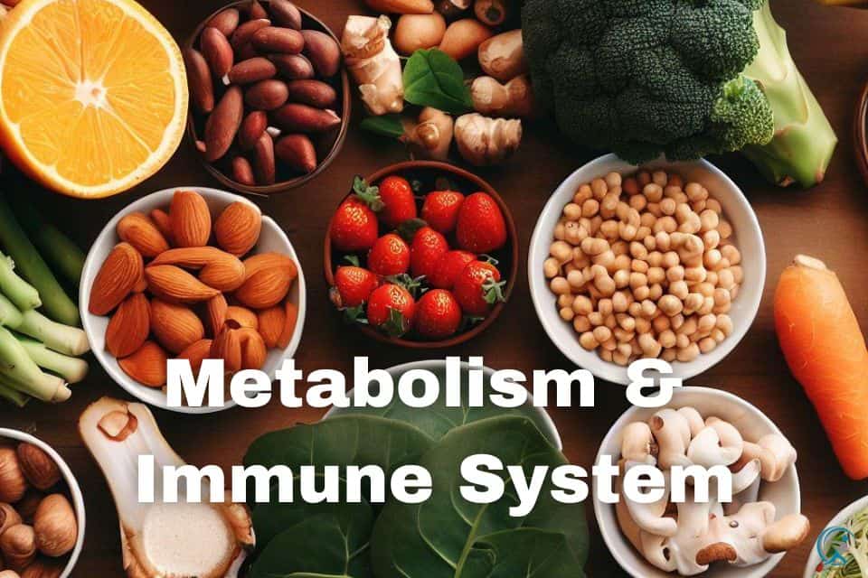 Discover the connection between metabolism and immune system, and learn how to improve both with lifestyle changes, diet, and exercise. Boost health now!