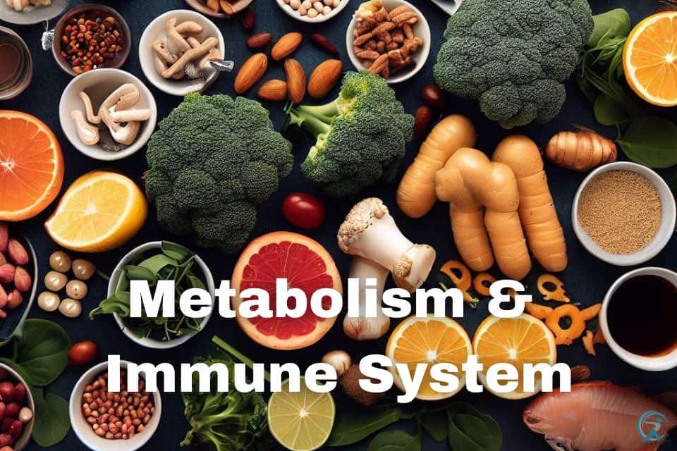 Foods That Boost Immune System and Metabolism