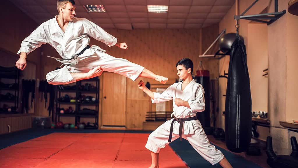 Martial Arts Training