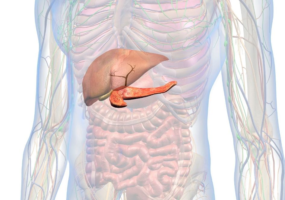 Cholesterol and the Metabolic Syndrome