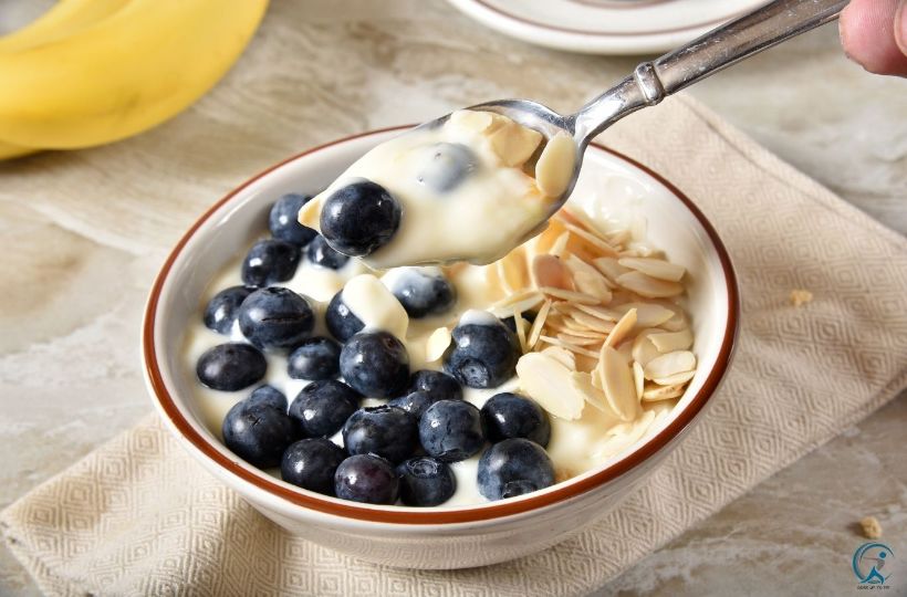 Pre Workout Meals with Blueberries and Greek Yogurt