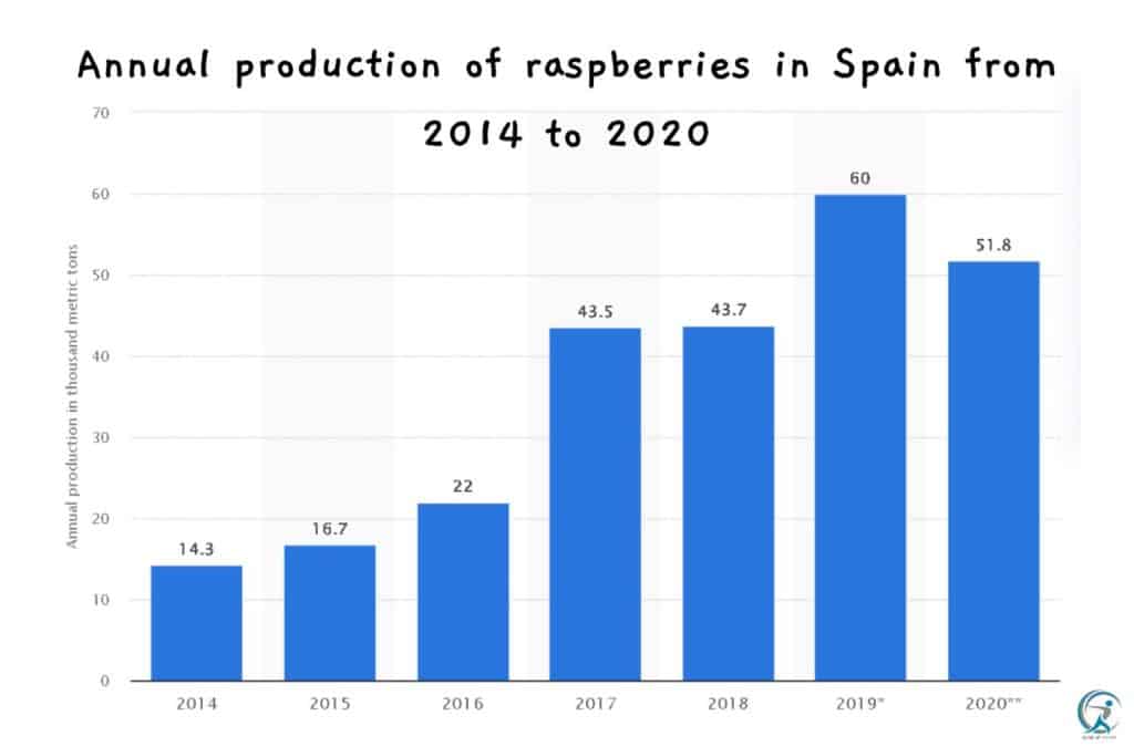 Annual production of raspberries in Spain from 2014 to 2020 - source: Statista