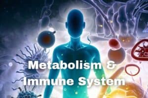 Metabolism and Immune System: How They Affect Each Other