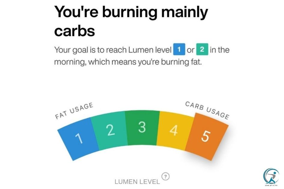 Lumen measures your Fuel Source and helps you Improve Your Metabolic Flexibility