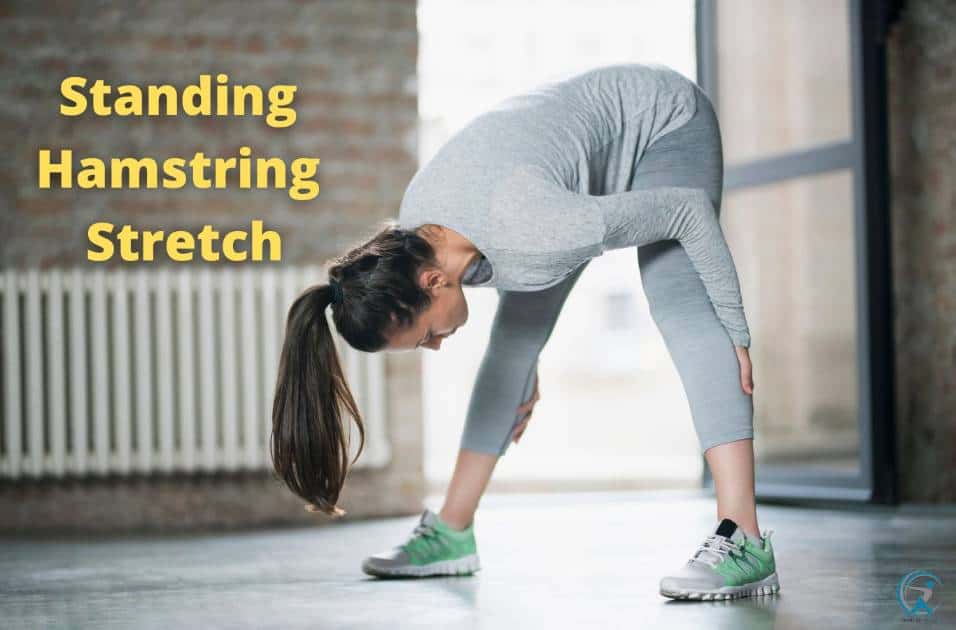 Standing Hamstring Stretch