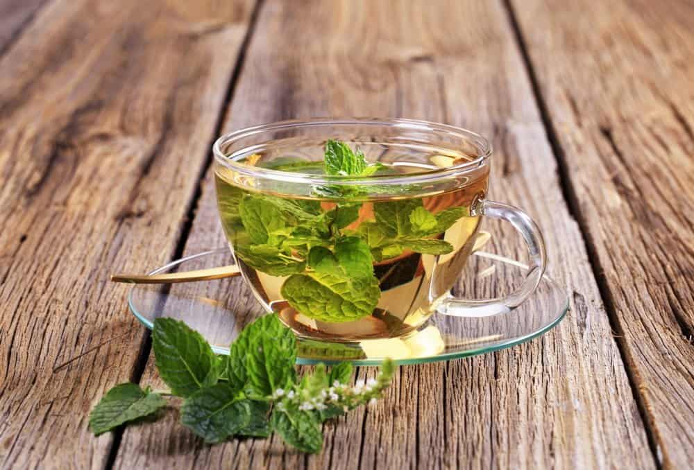 Mint tea made of fresh mint leaves - Organifi Green Drink Review