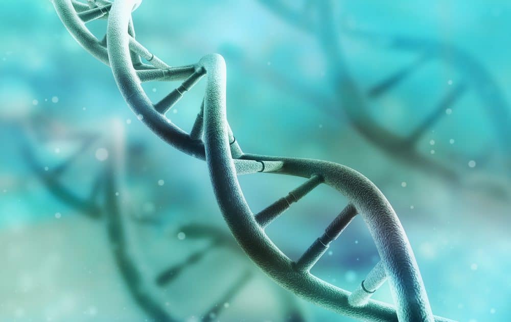 Genes dna structure - 10 Ways to Lose Belly Fat