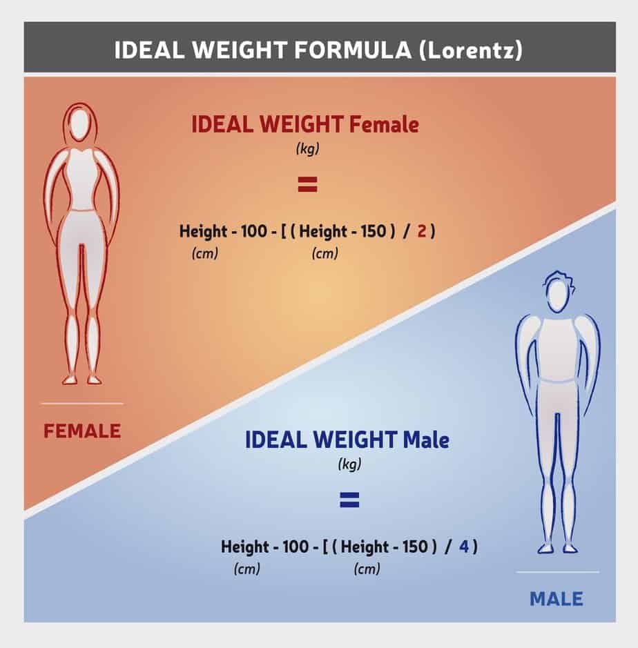 Ideal Body Weight Illustration - Ideal Body Weight (IBW) Calculator - Health and Fitness Calculators