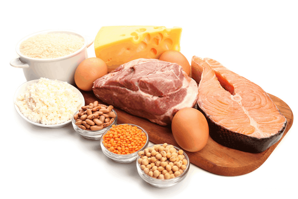 Food high in protein sources