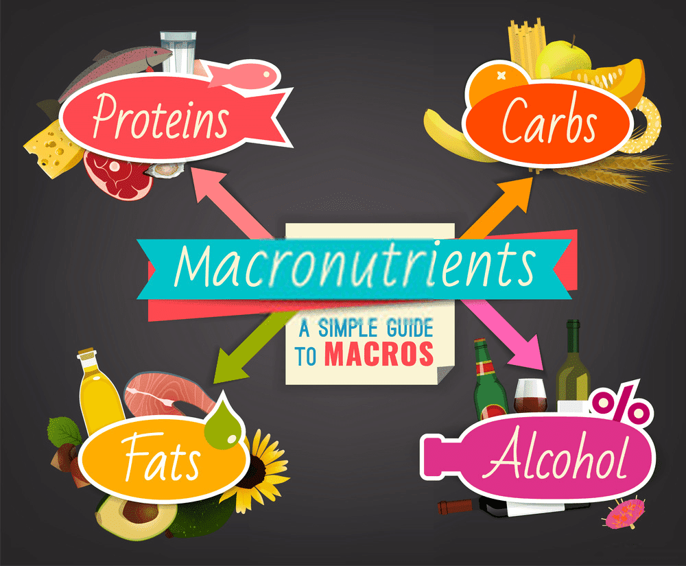 A simple guide of Macronutrients analysis for Macro calculator