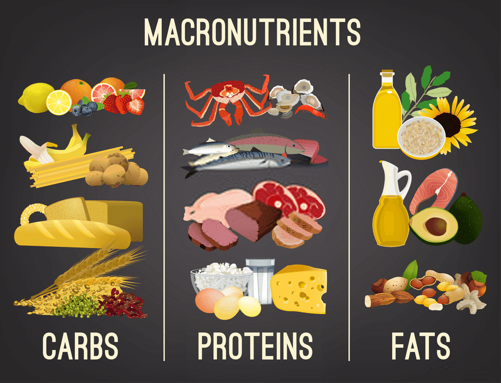 Main macronutrient Macro calculator food groups 