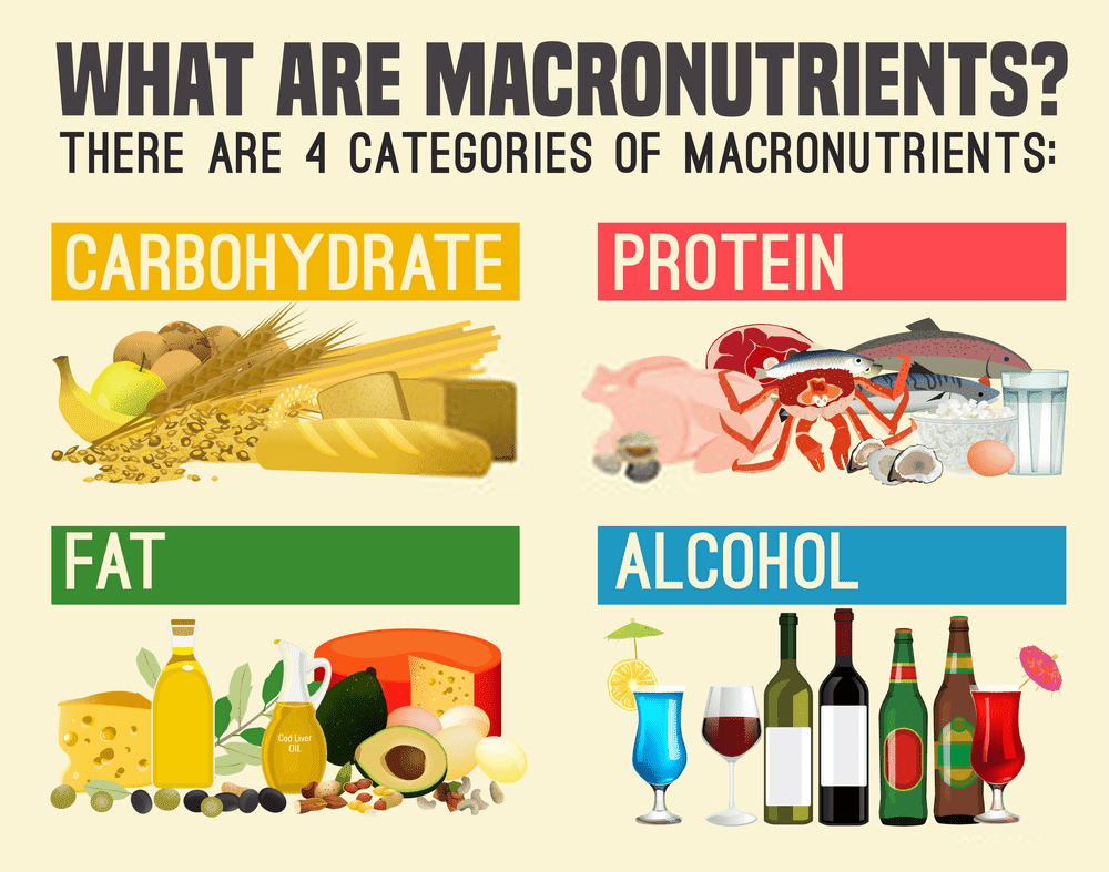 Macro calculator - The 4 categories of macronutrients