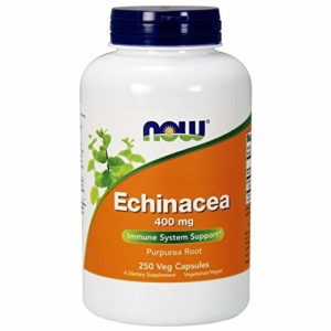 the Best Echinacea Supplements of 2022
