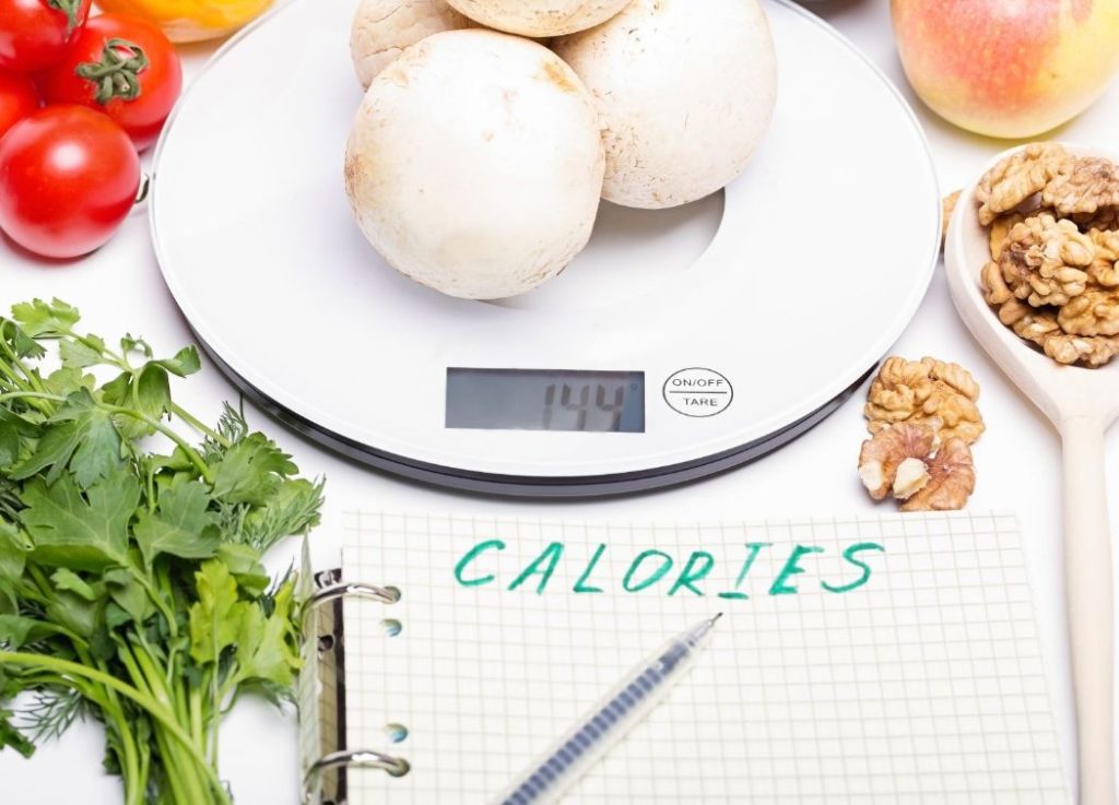 Meal Calorie Calculator - counting calories