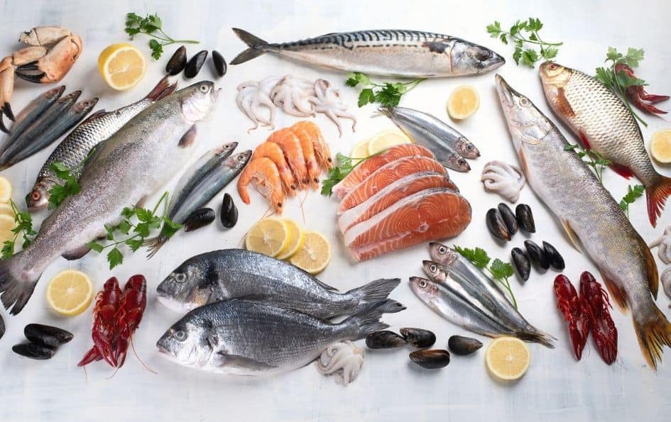 Most recommended fish due to their low mercury content