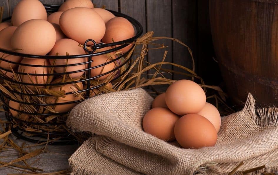 Eggs on the ketogenic diet