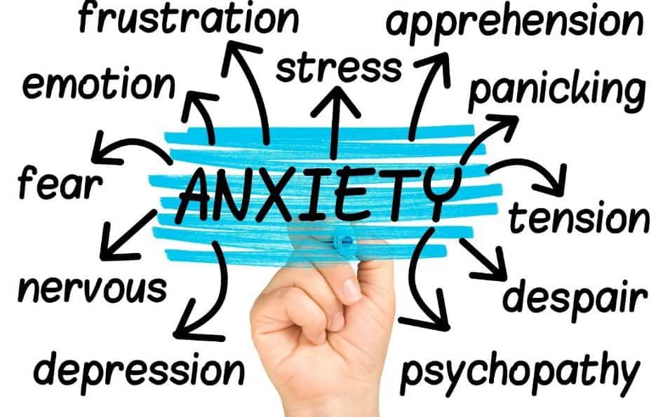 A stressful situation is the easiest way to boycott your goals and not succeed to manage diet without anxiety