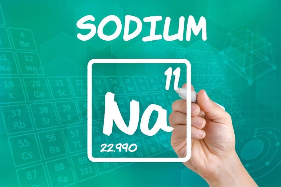The importance of sodium to the human body