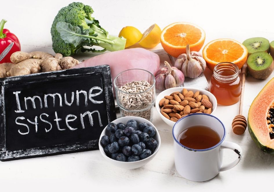 What can the immune system do?