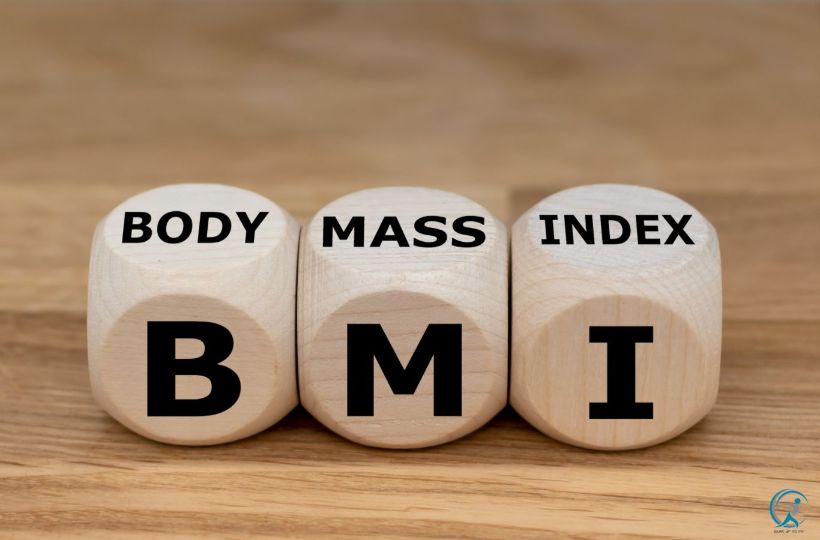 Body Mass Index Calculation Tool