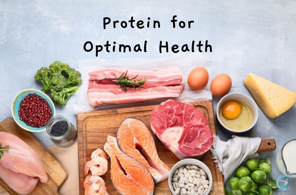 Protein The Key to Optimal Health