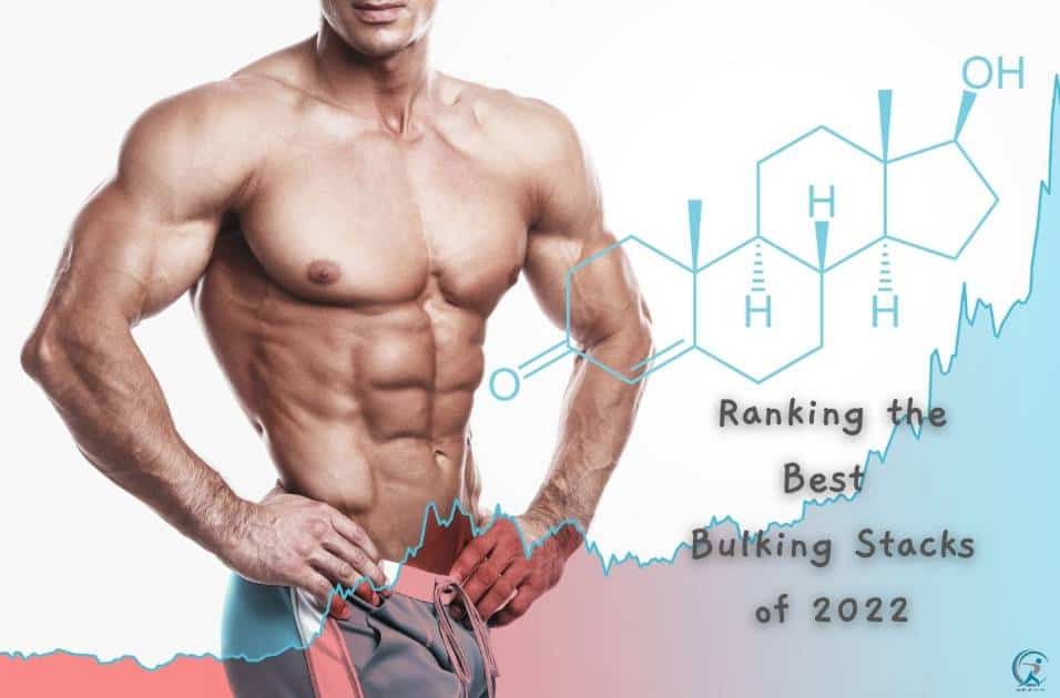 Ranking the Best Bulking Stacks of 2022