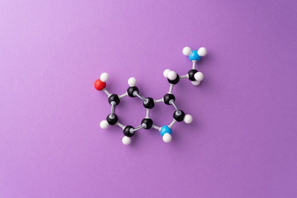 Energy Metabolism