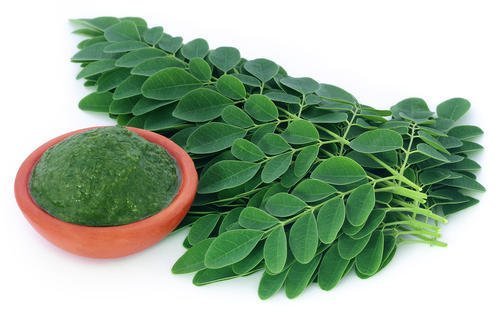 moringa-leaves - Organifi Green Drink Review