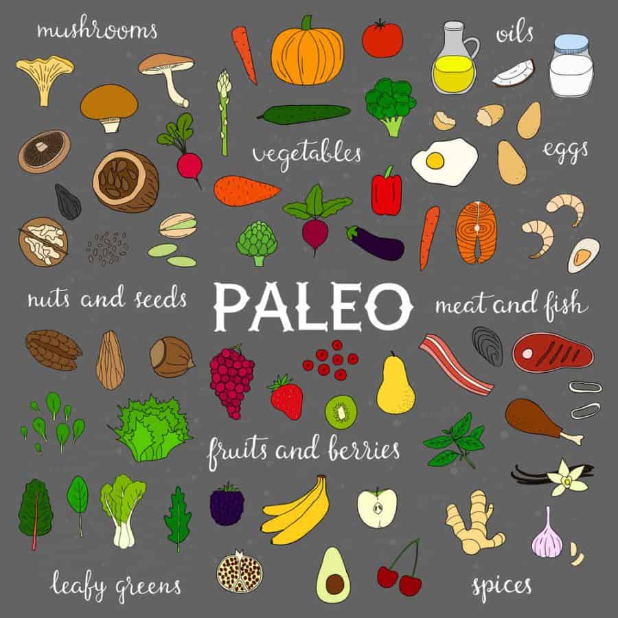 The Paleo Diet Infographic