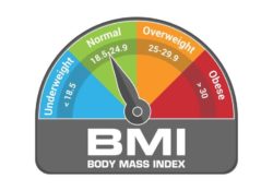 BMI Body Mass Index Calculate Illustration or Infographic Chart - Body Mass Index (BMI) Accurate & Scientific Calculation Tools