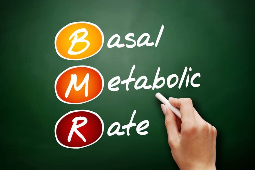 BMR - Basal Metabolic Rate acronym