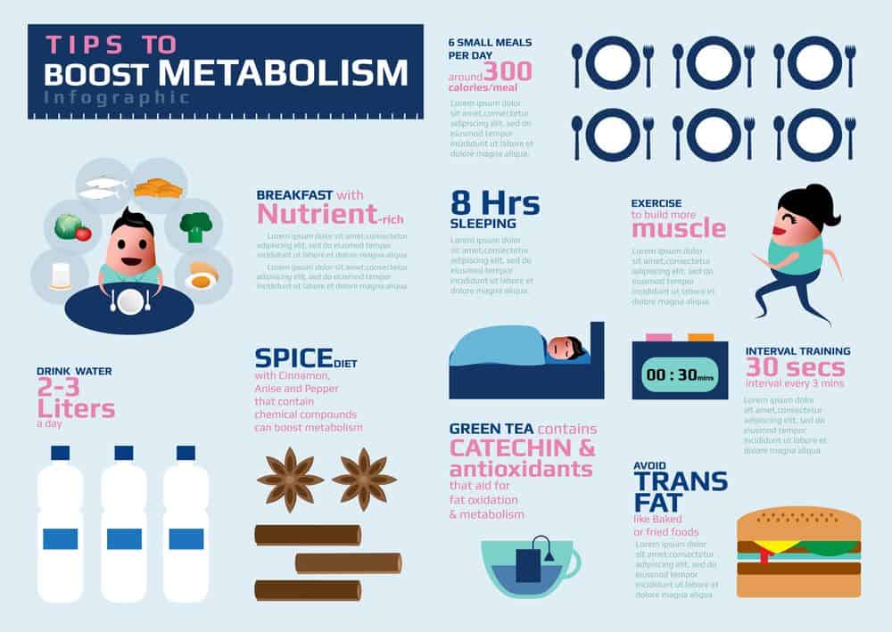 Infographic on tips how to boost metabolism - Natural ways to speed up your metabolism