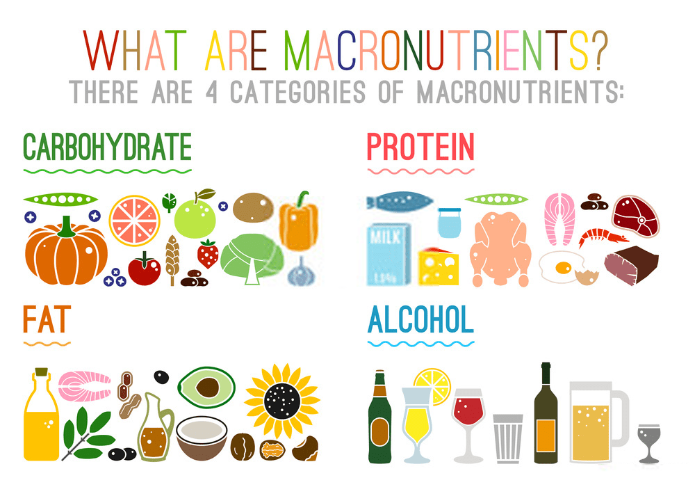 micro macro nutrients goals macronutrient meal planner