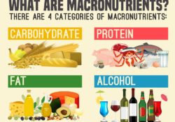 Macro Calculator - The 4 categories of macronutrients