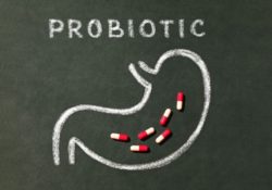 What You Should Know About Probiotics