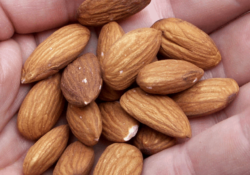 Ranking the best almonds of 2020