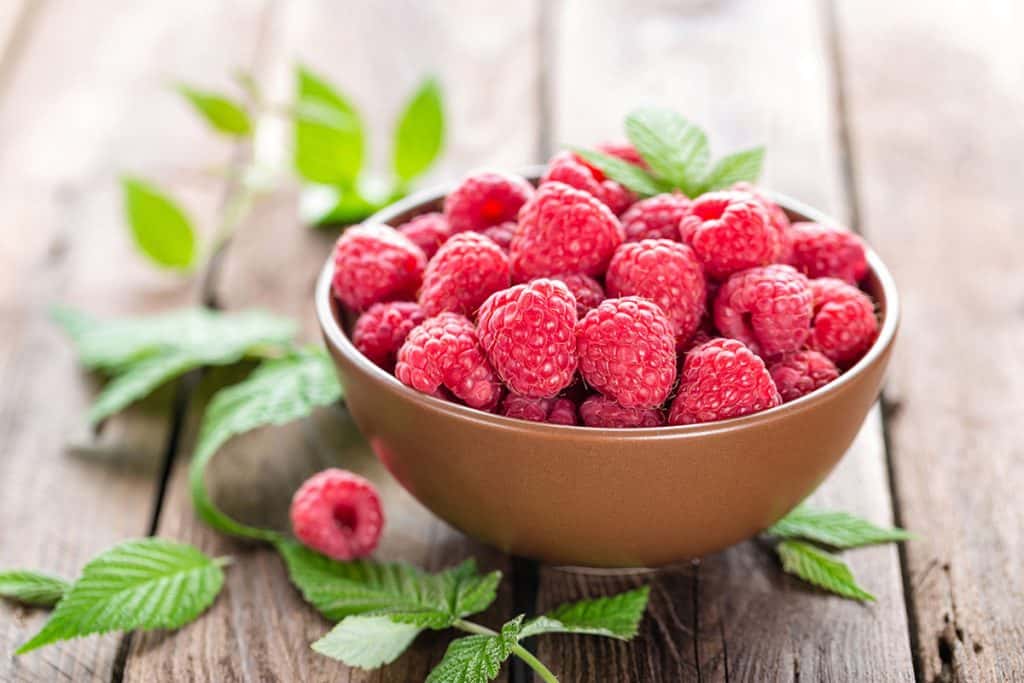 Ranking the best raspberry ketone supplements of 2020