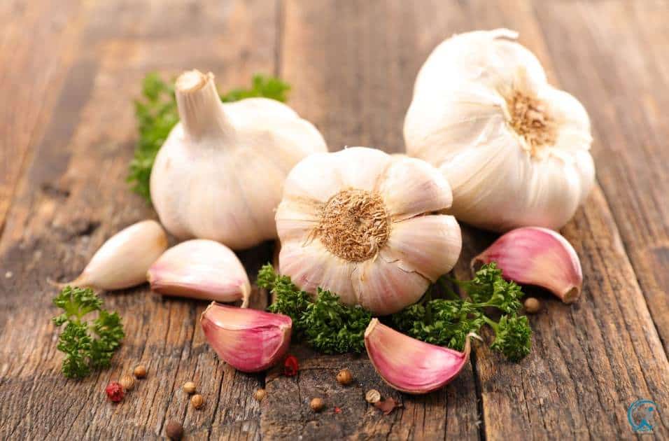 Garlic is an excellent place to start if you're wondering what to add to your diet to build your immunity.