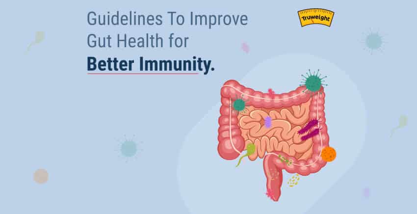 Know How Your Gut Health Is Related To Your Immunity